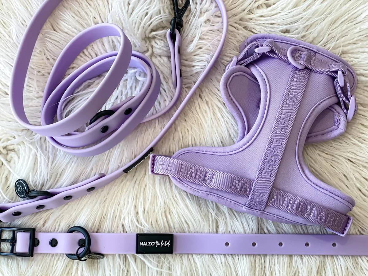 Lilac Dog Harness Waterproof Set
